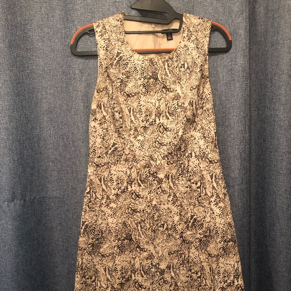 Snake Print Dress - Classy Pencil skirt cut